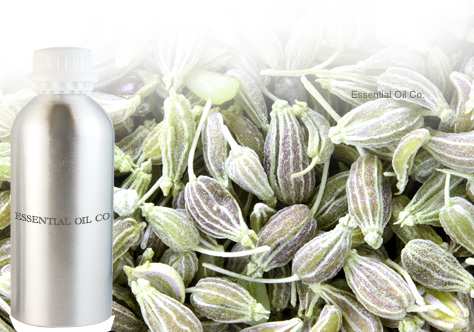 anise-seed-oil13179908094e8ef1996cf46