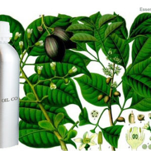 Elemi