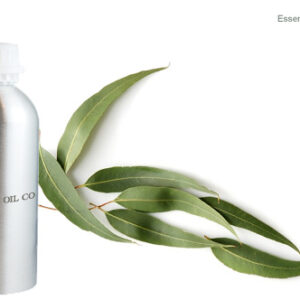 Eucalyptus