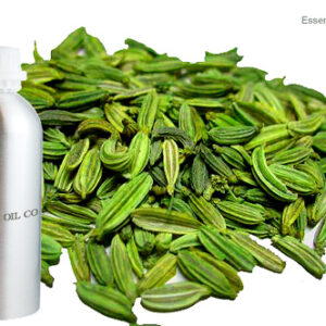 Fennel Seed