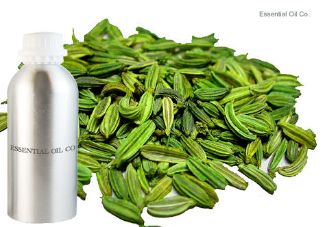fennel-seed-oil