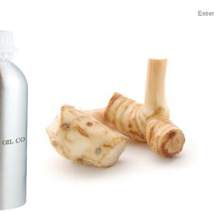 Galangal