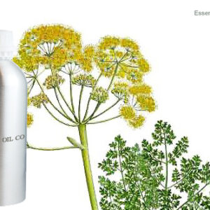 Galbanum