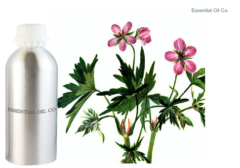 geranium-oil