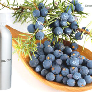Juniper Berry