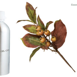 Laurel Berry