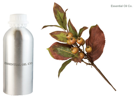 laurel-berry-oil